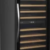 Шкаф винный TEFCOLD TFW300-2F