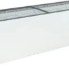Ларь морозильный FROSTOR F 800 С